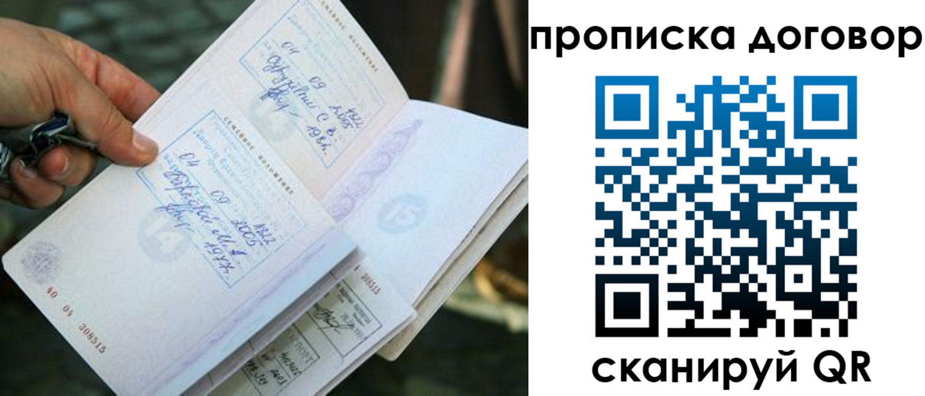 прописка для школы в Алексеевке